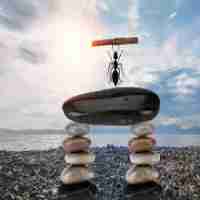 高﻿级‌元‍标﻿签‍优‌化‍系‍统﻿